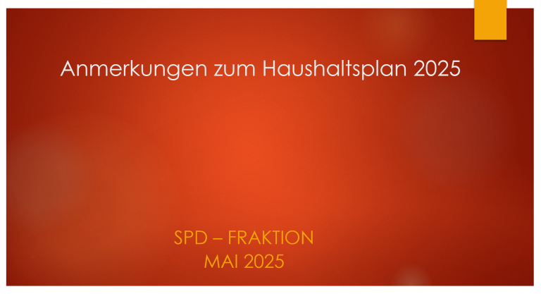 Haushaltsplan 2025-1